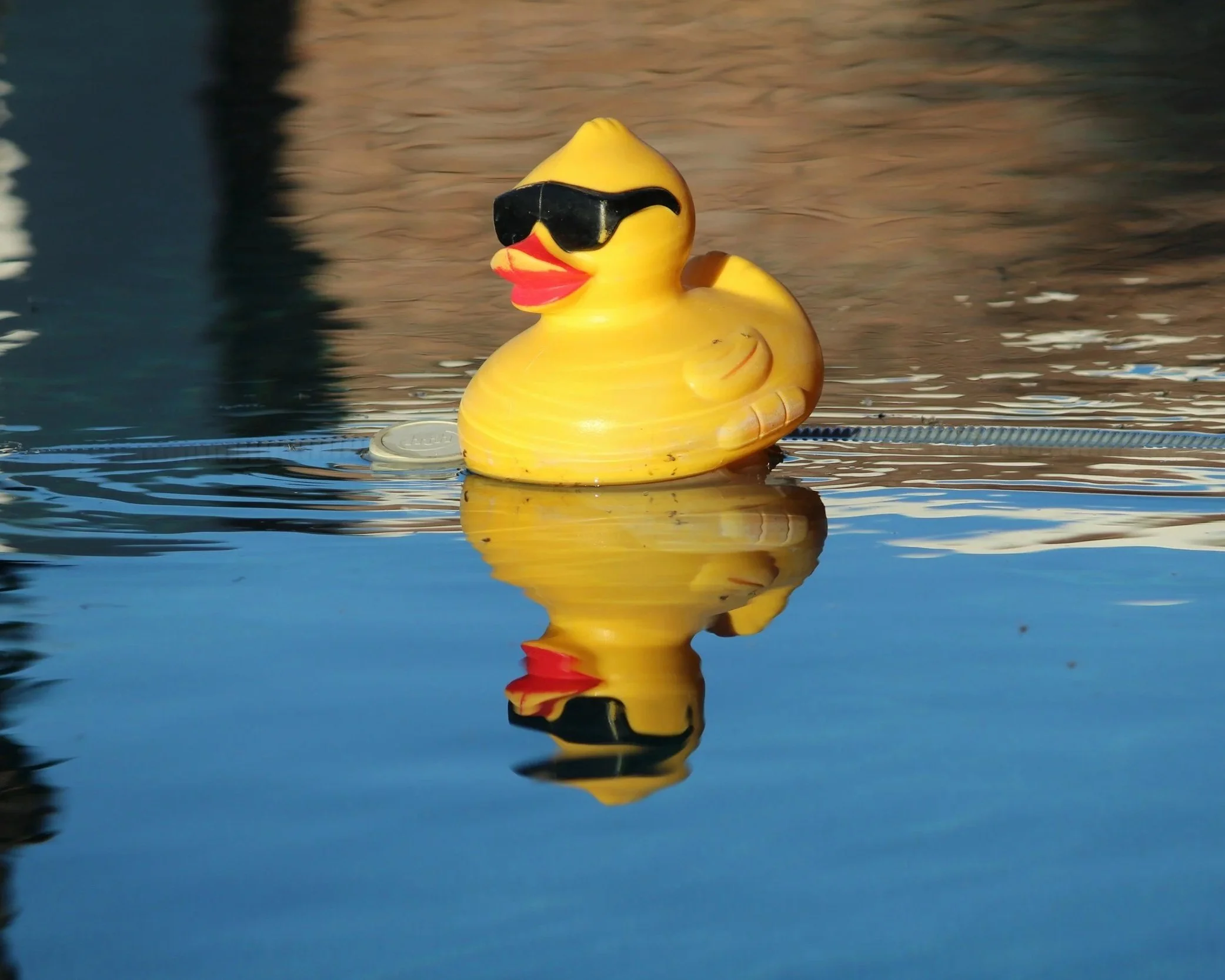 Rubber Duck Derby in the Adirondacks on Labor Day Weekend.