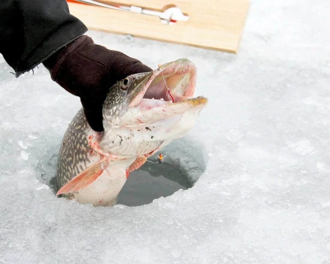 Ice Fishing for Northern Pike in Schroon Lake.