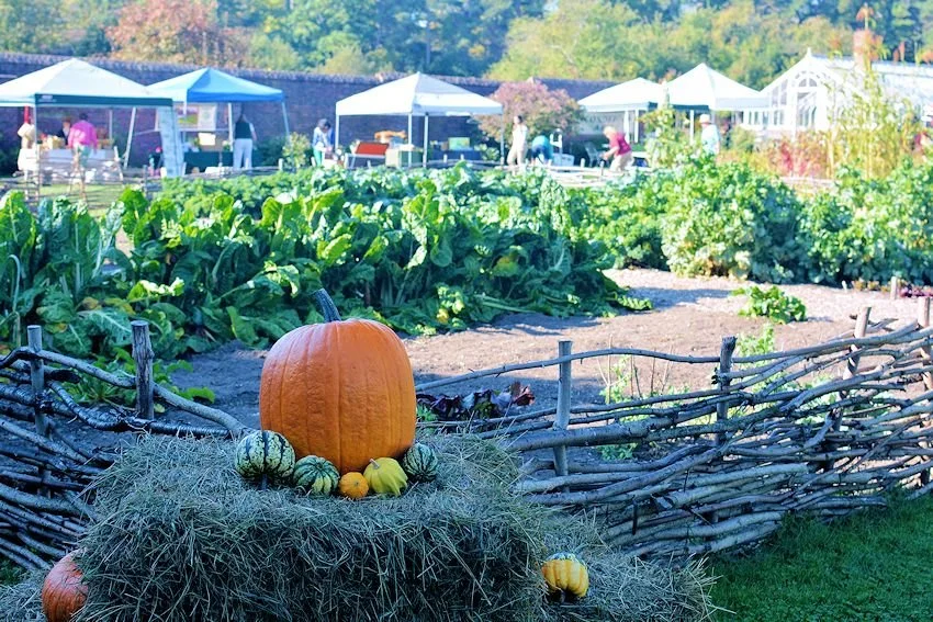 King's Garden harvest festival at Fort Ticonderoga 2025