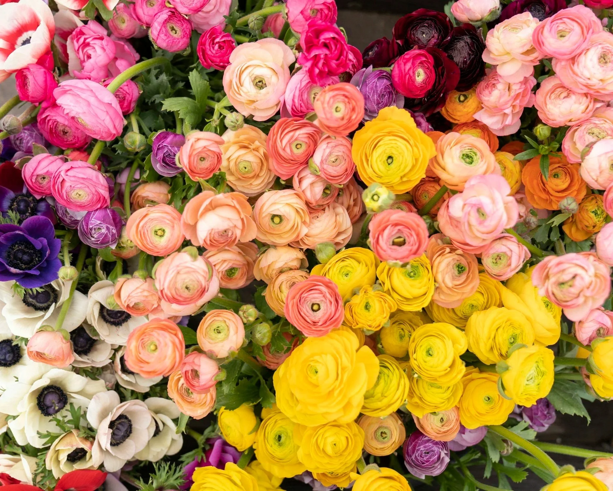Floral sculptures at the Blossom Reverie Fair in Ticonderoga.