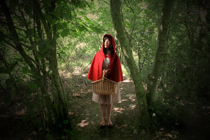 Little Red Riding Hood in the Forest.