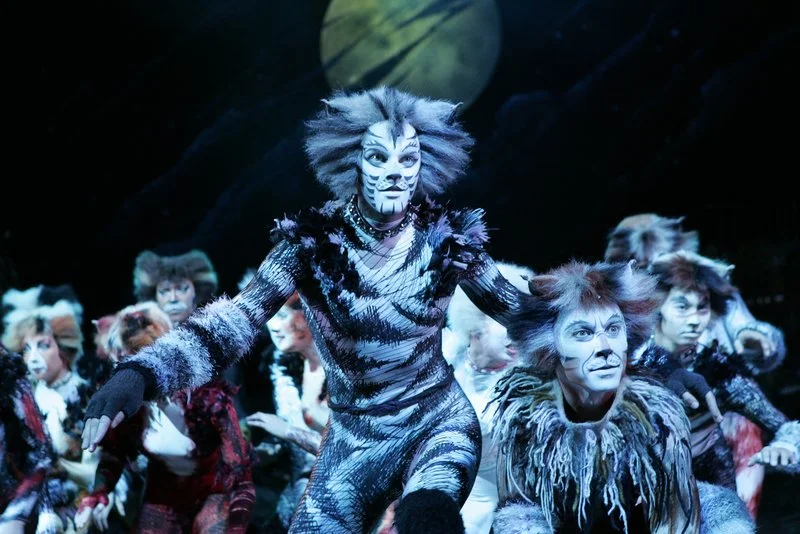 Seagle Festival performers 2025 sing favorites from "Cats" the musical