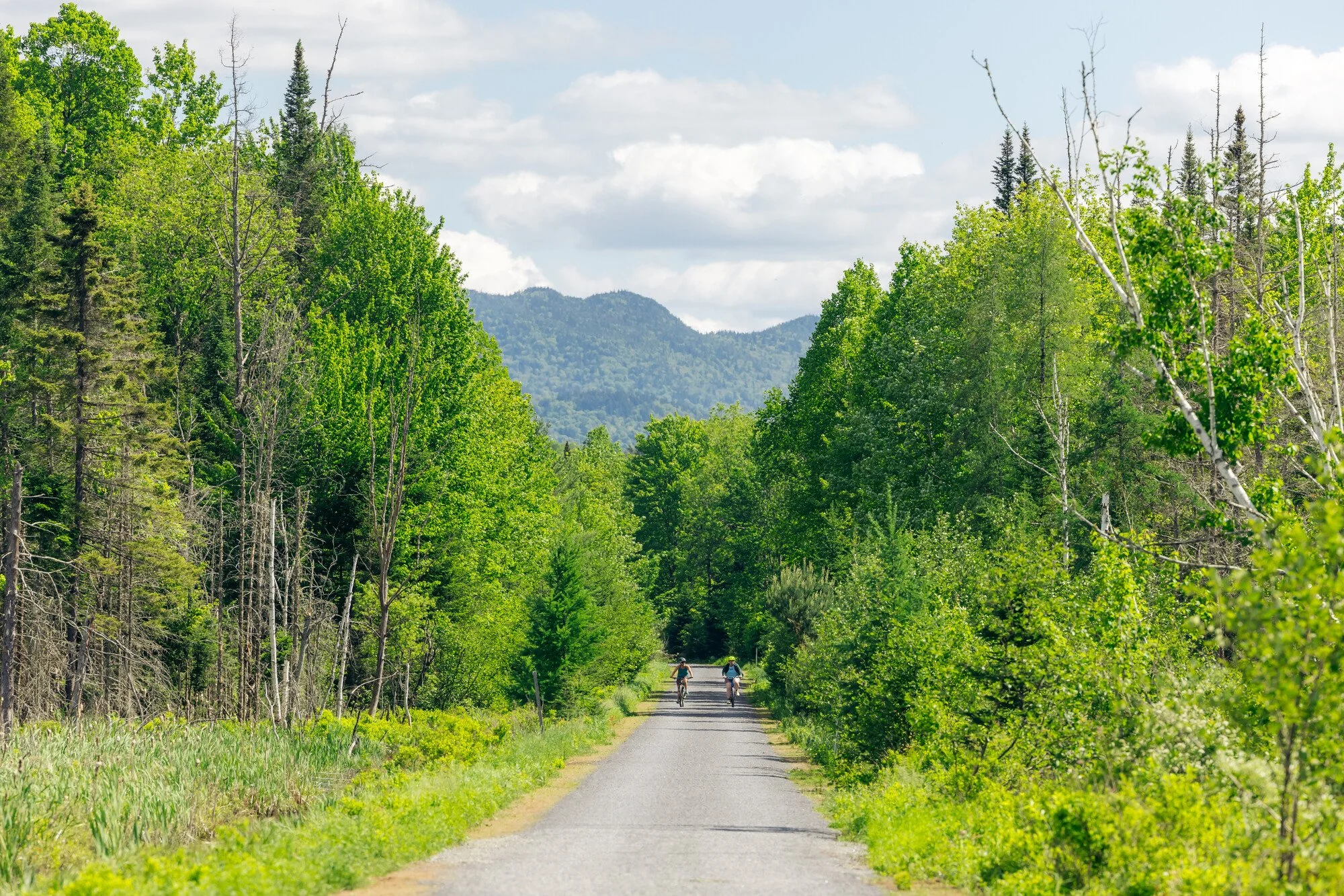 Adirondack Rail Trail: A 34-Mile Journey Through History, Wilderness, and Adirondack Life