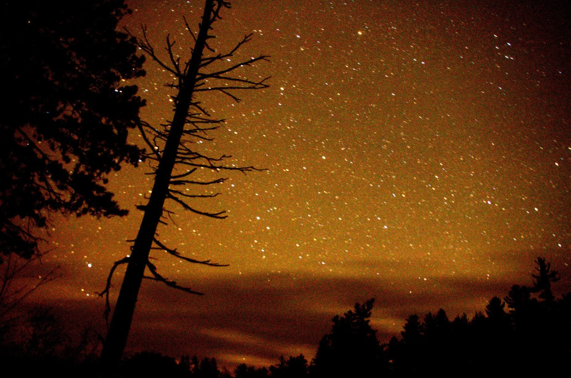 Dark Adirondack skies.