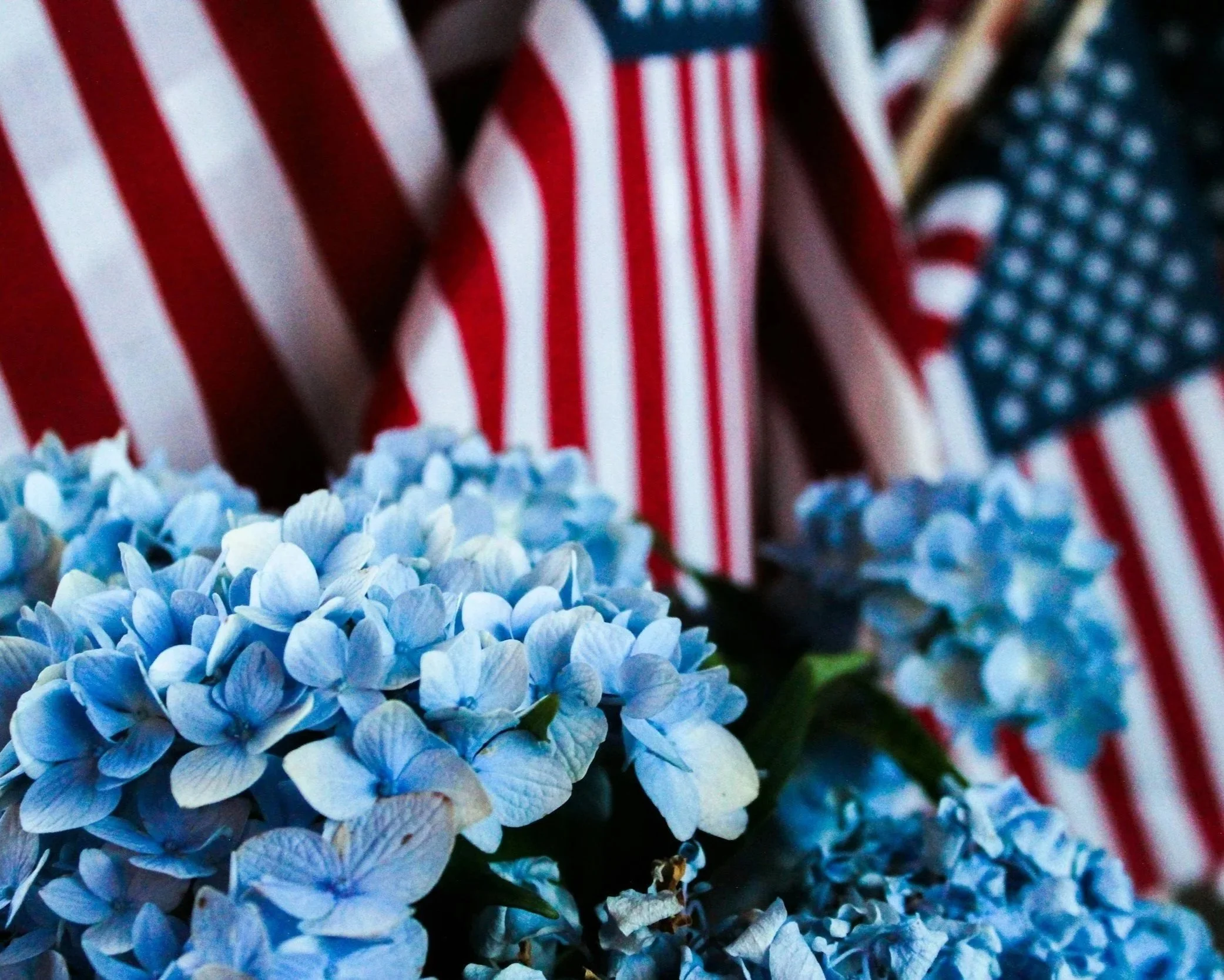 4th of July flower arrangement with the US Flag and hydrangeas.