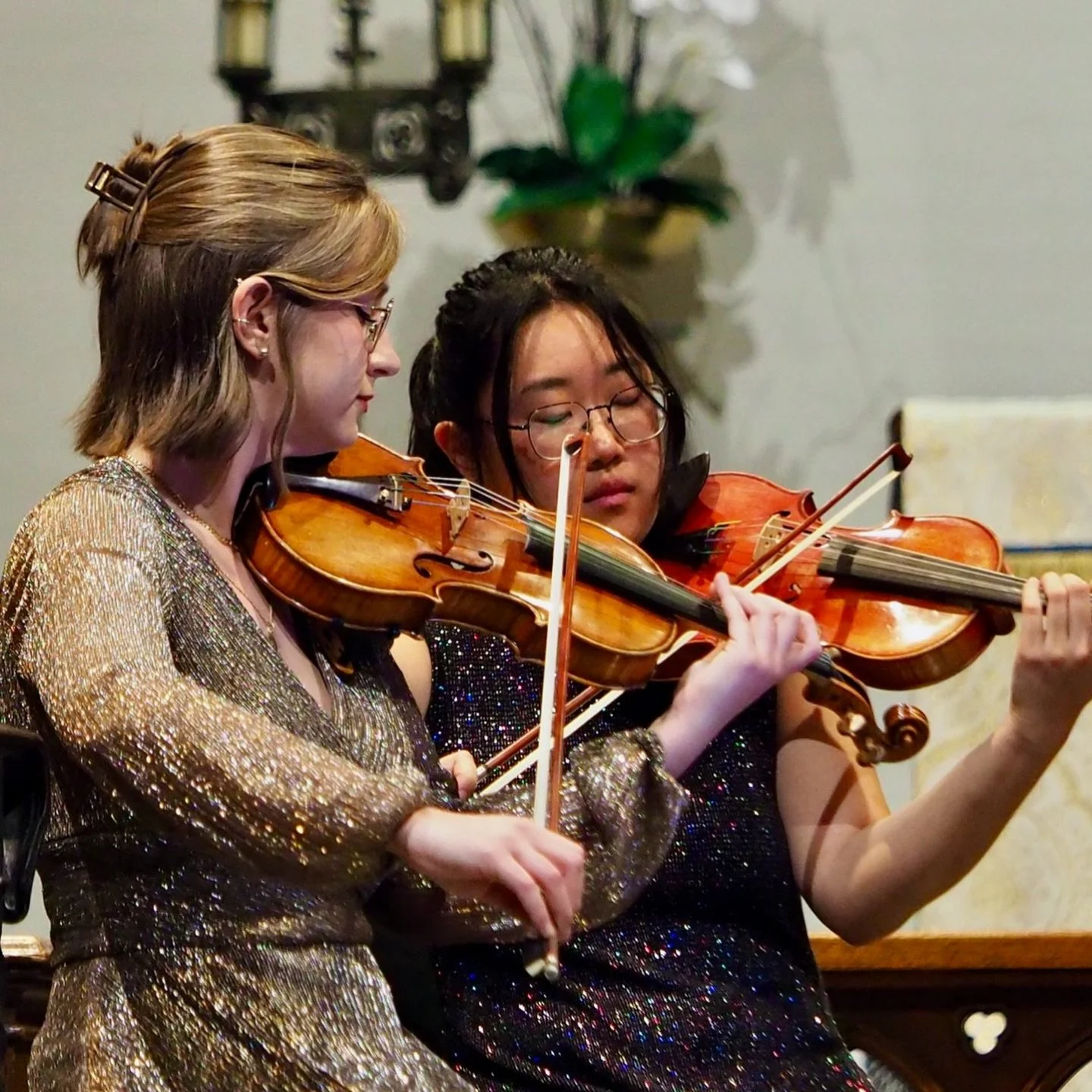 Trillium String Quartet performing live.