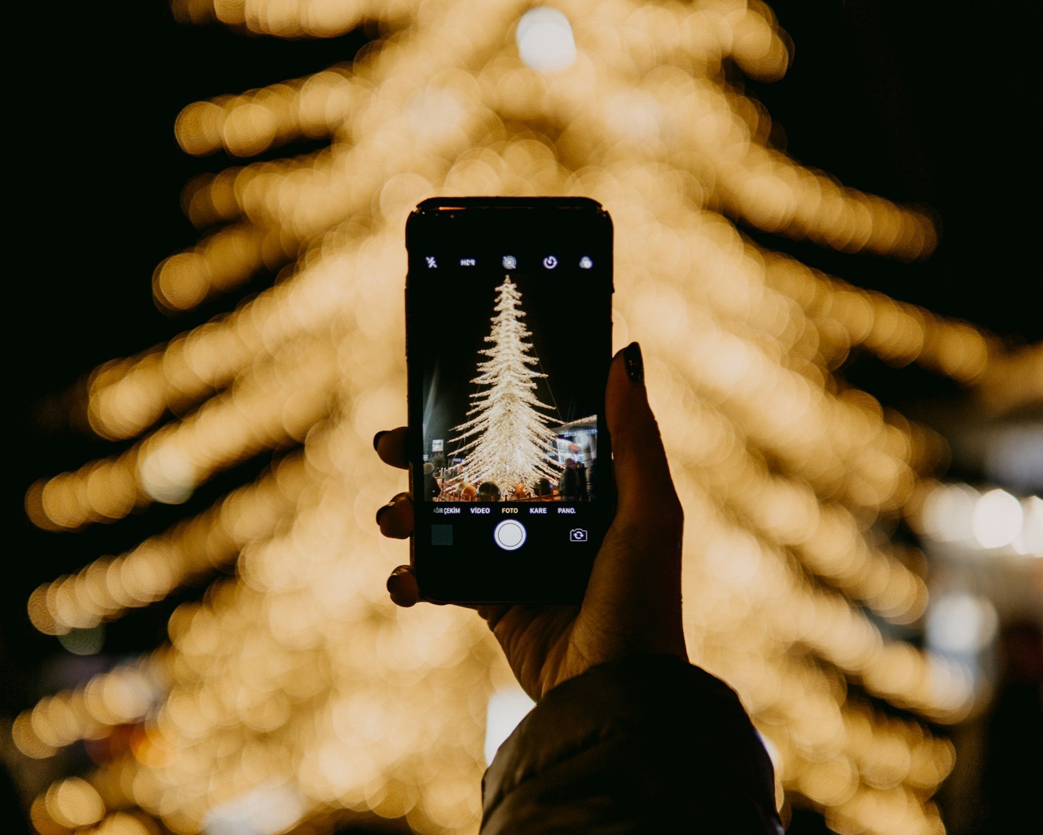 Taking photos at a festival of trees.