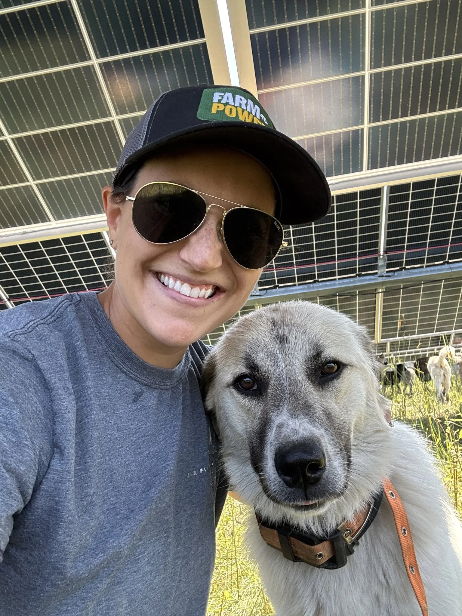 Farmer Rebekah Pierce with a livestock guardian dog beneath solar panels at a J&R Pierce Family Farm grazing site.