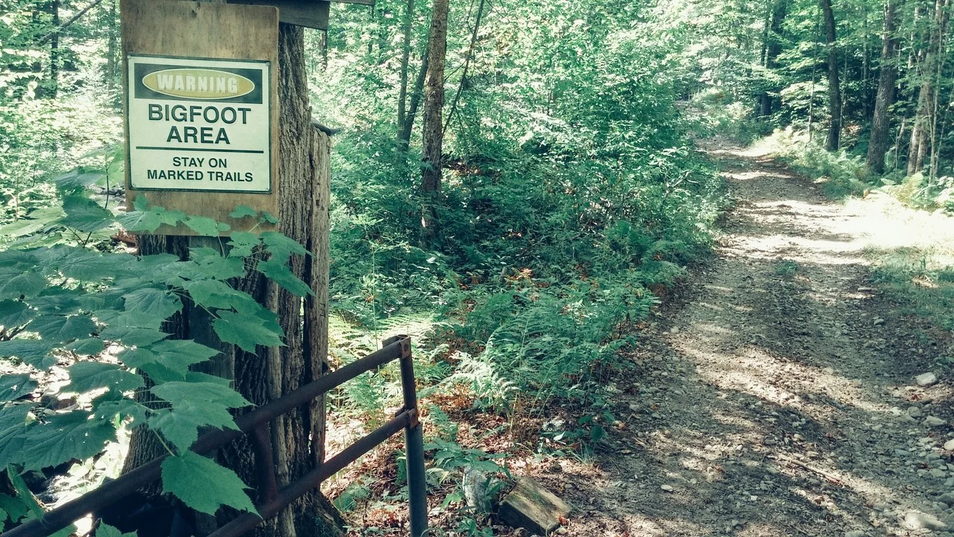 Path through the Adirondack woods with sign warning about Bigfoot.