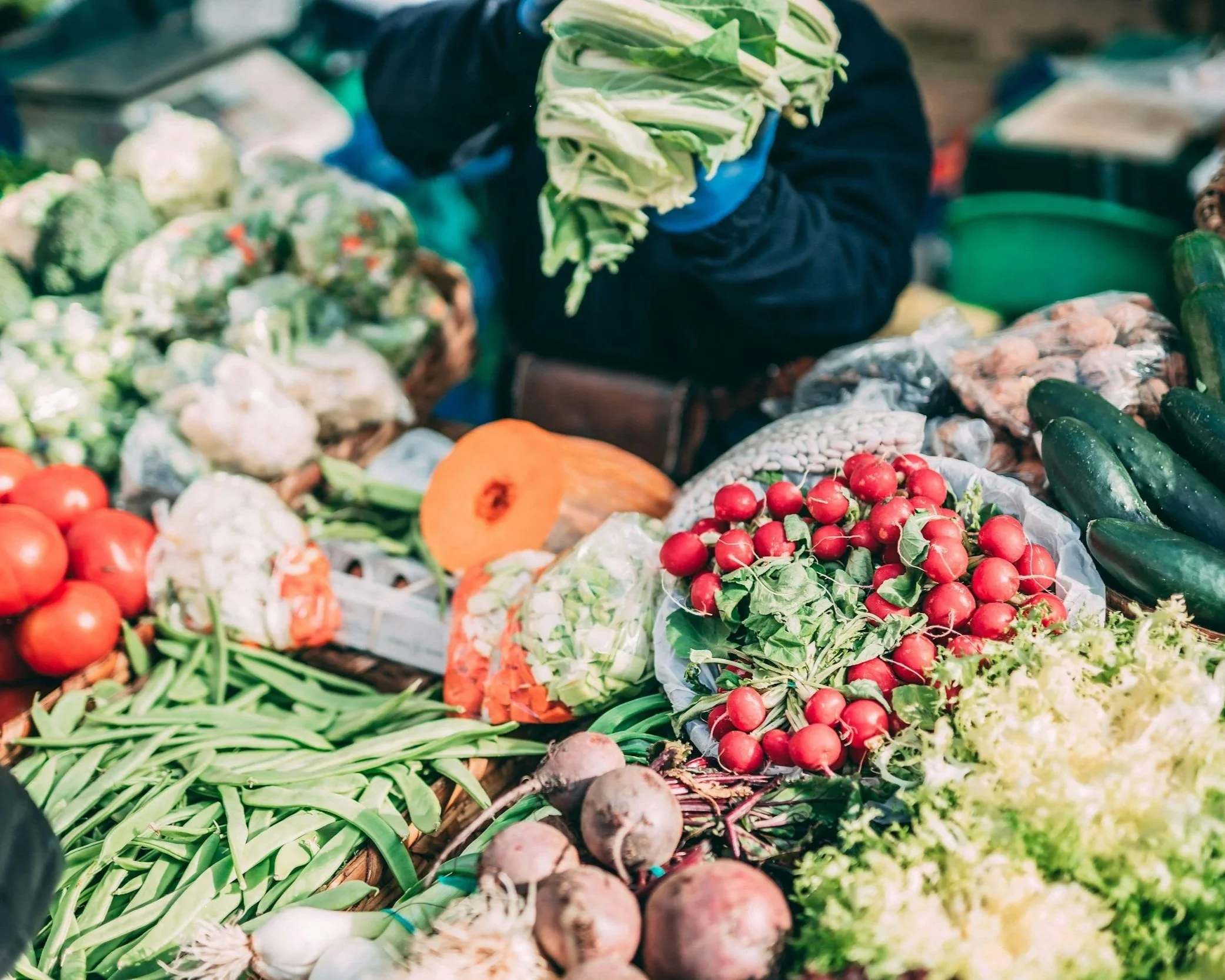 Fresh produce grown on Adirondack Farms.