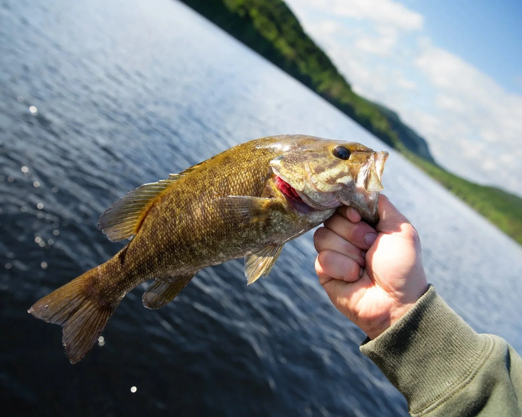 Fresh water fishing on Tupper Lake in the Adirondacks.