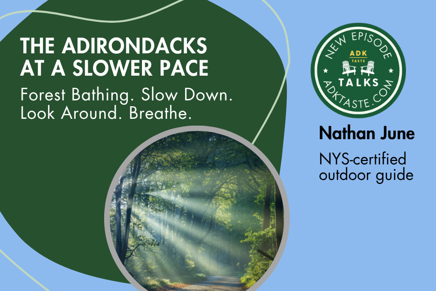 The Adirondacks at a Slower Pace: Forest Bathing with Nathan June.