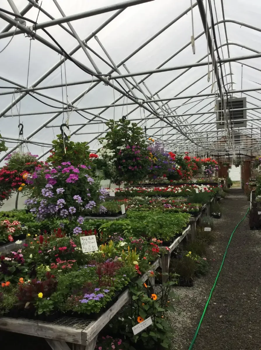 It's about thyme farm greenhouse