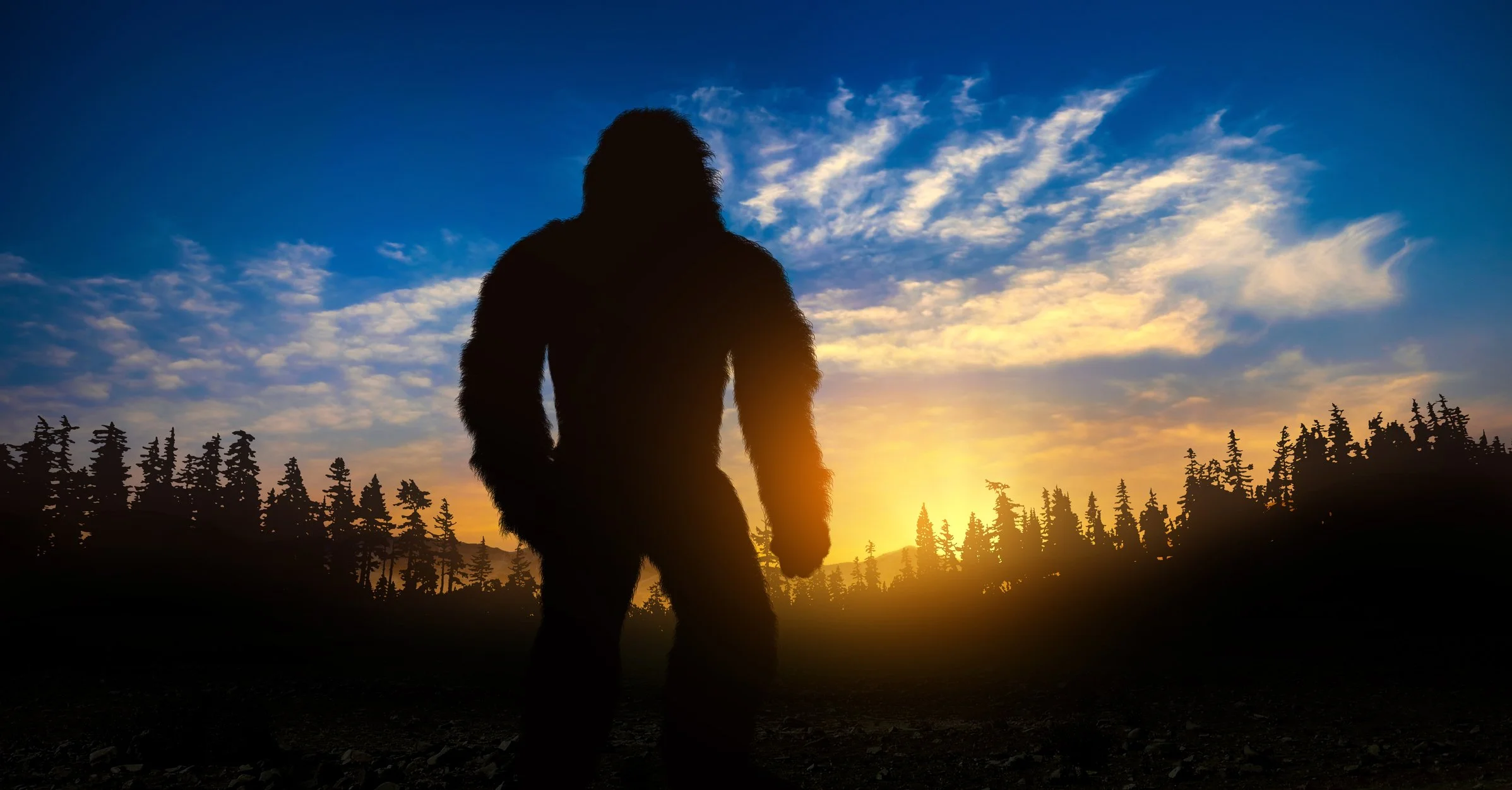 silhouette of bigfoot in the Adirondacks at dawn.