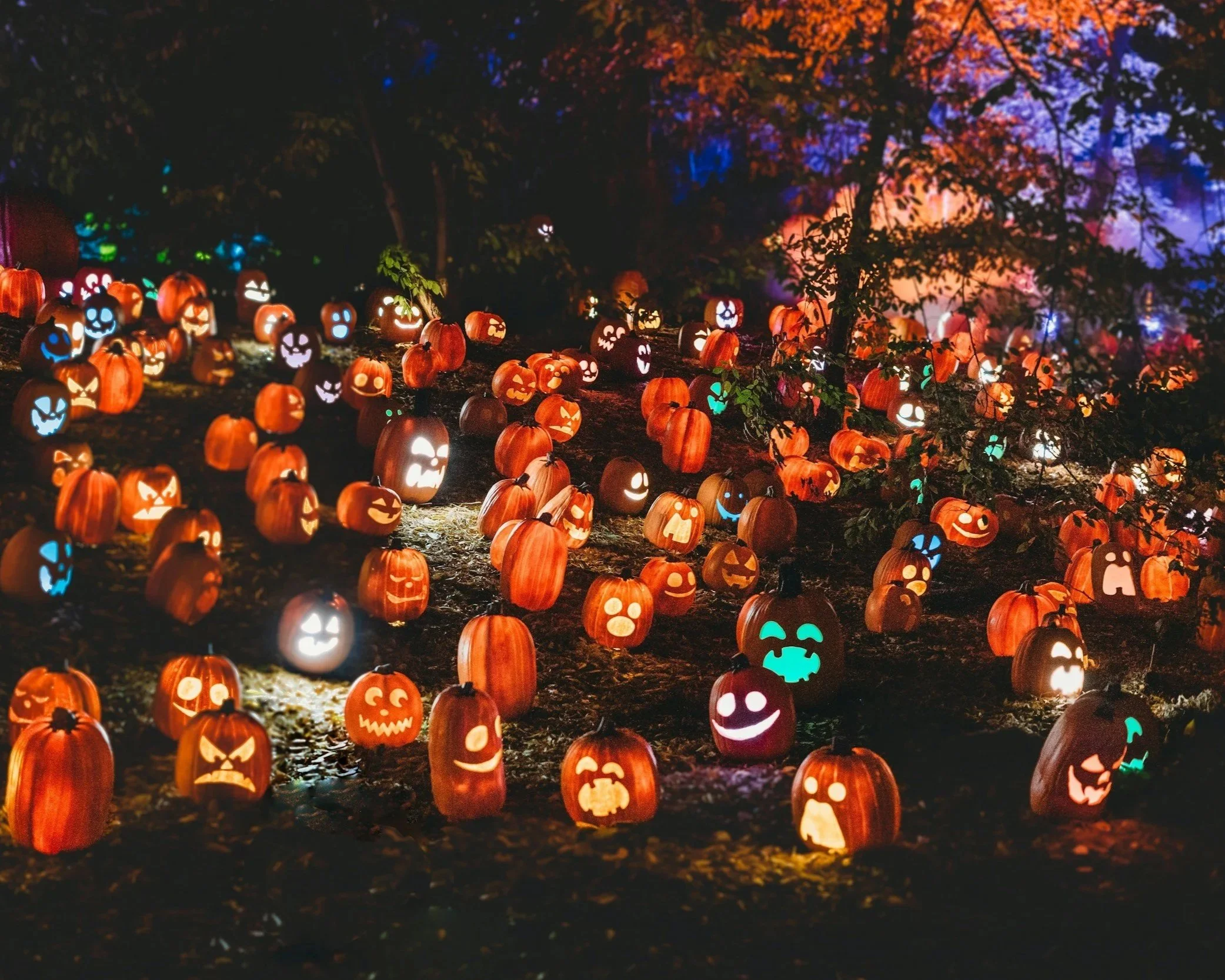 Ticonderoga HalloweenFest