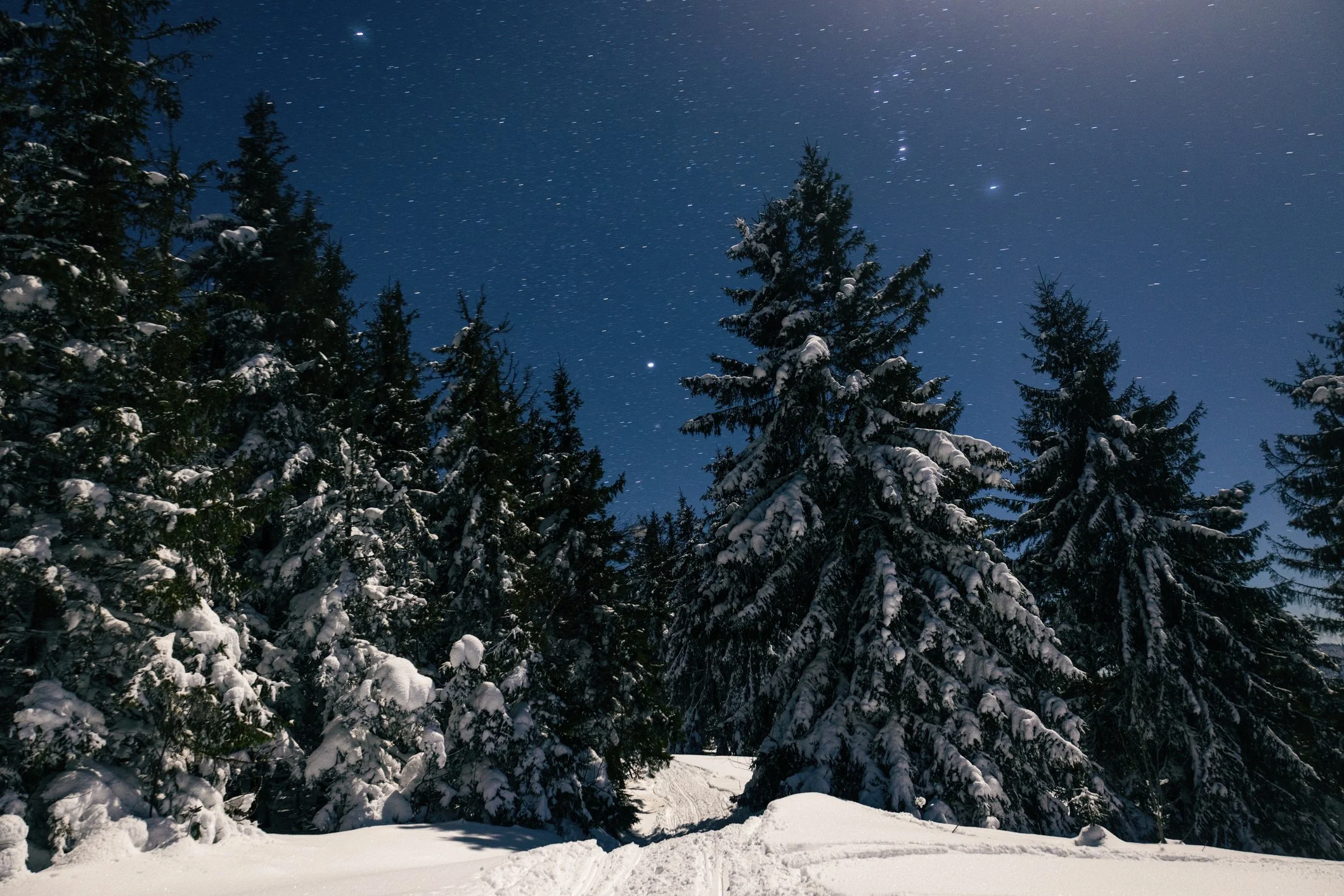 Ski trail glowing under moonlight and stars typical of Mt. Van Hoevenberg in winter