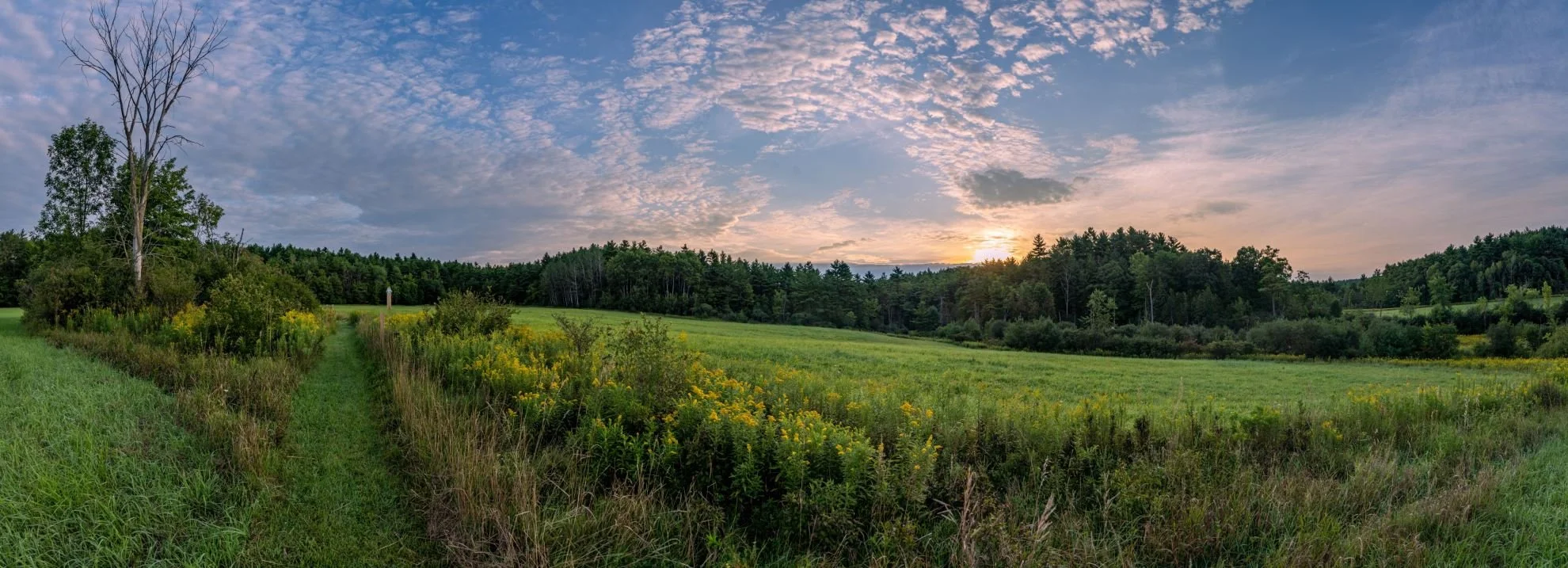 Bobcat hiking trail in the Adirondack's Champlain Valley.