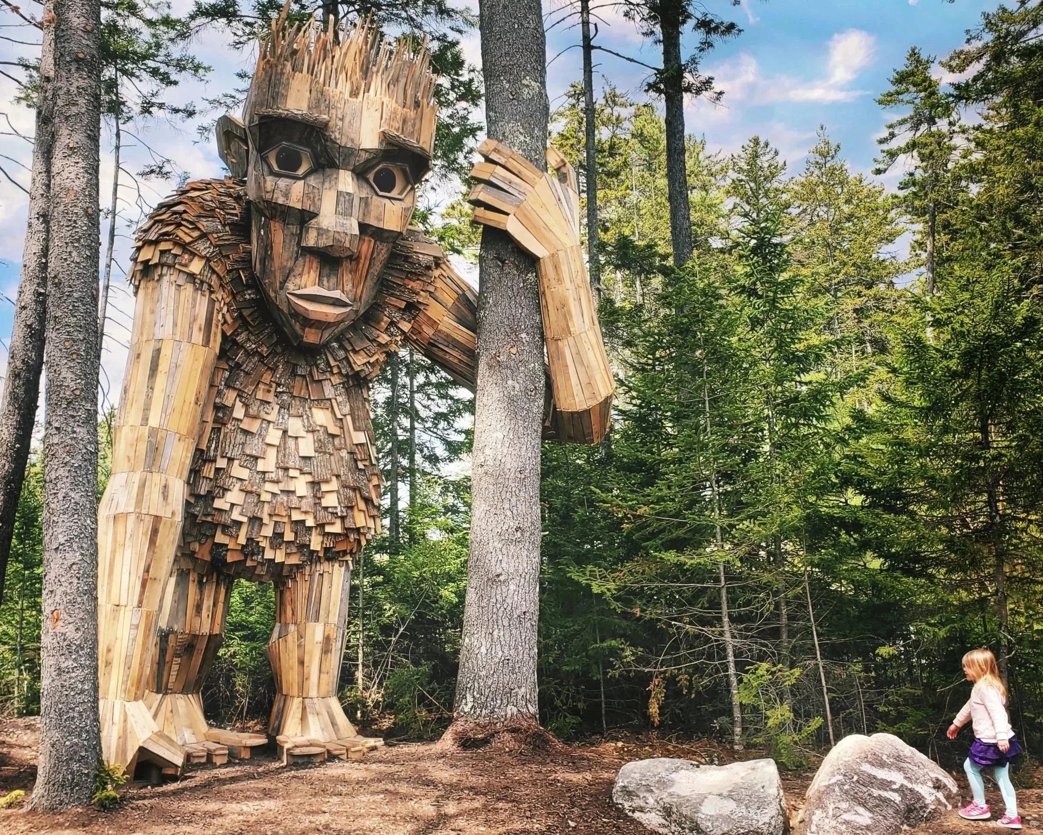 Troll by Thomas Dumbo at The Wild Center.