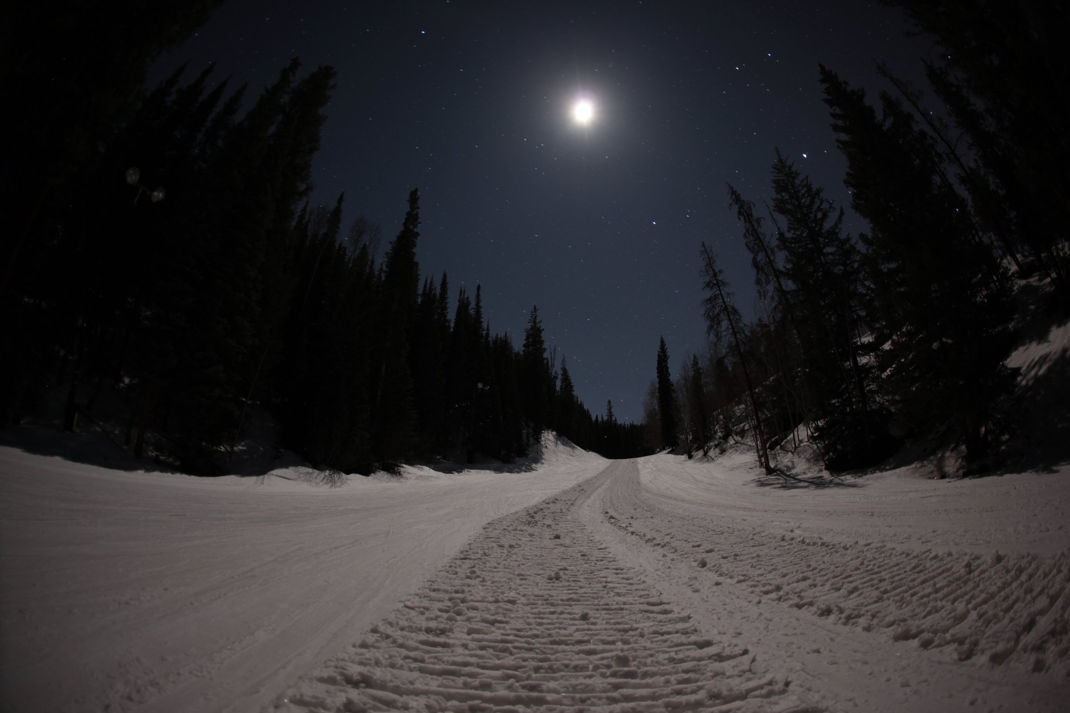 Stock image illustrating moonlit cross-country ski trails like those at Mt. Van Hoevenberg