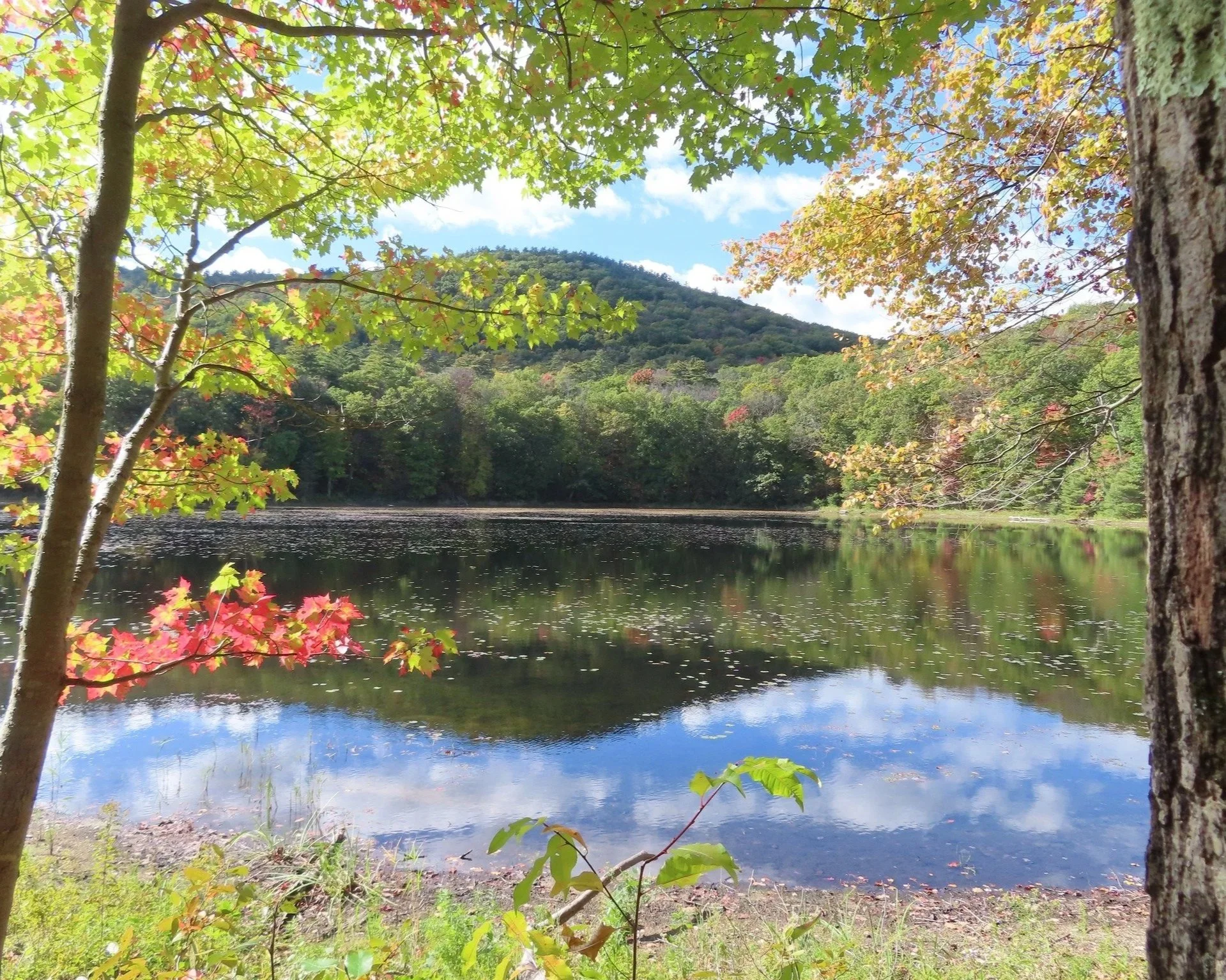 NatureFest at Moreau State Park in New York