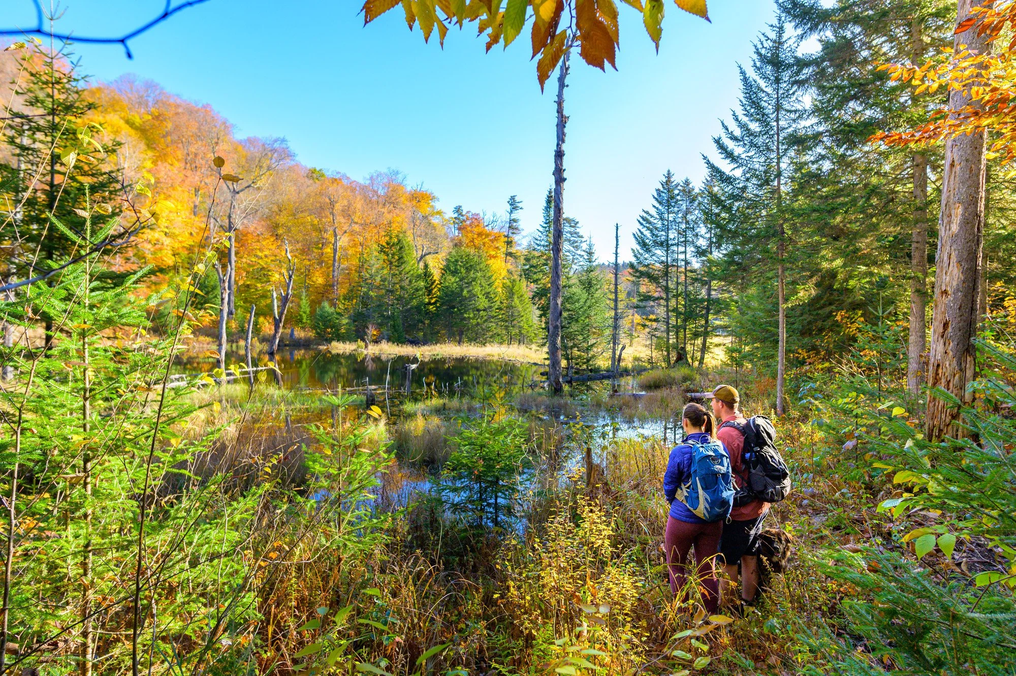 Hikers on the trail to the Vanderwhacker Fire Tower in the Adirondacks.