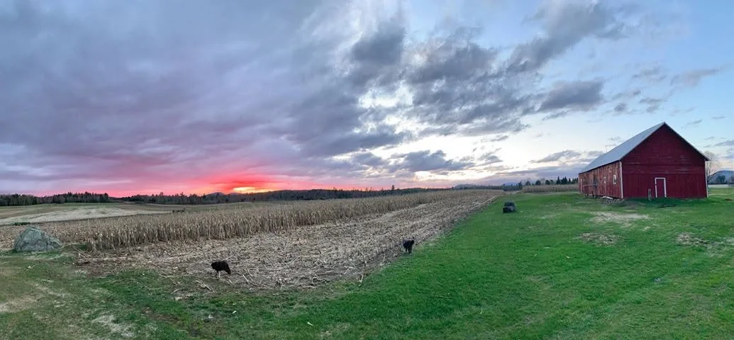 Tucker Farms at sunset in the Adirondacks.