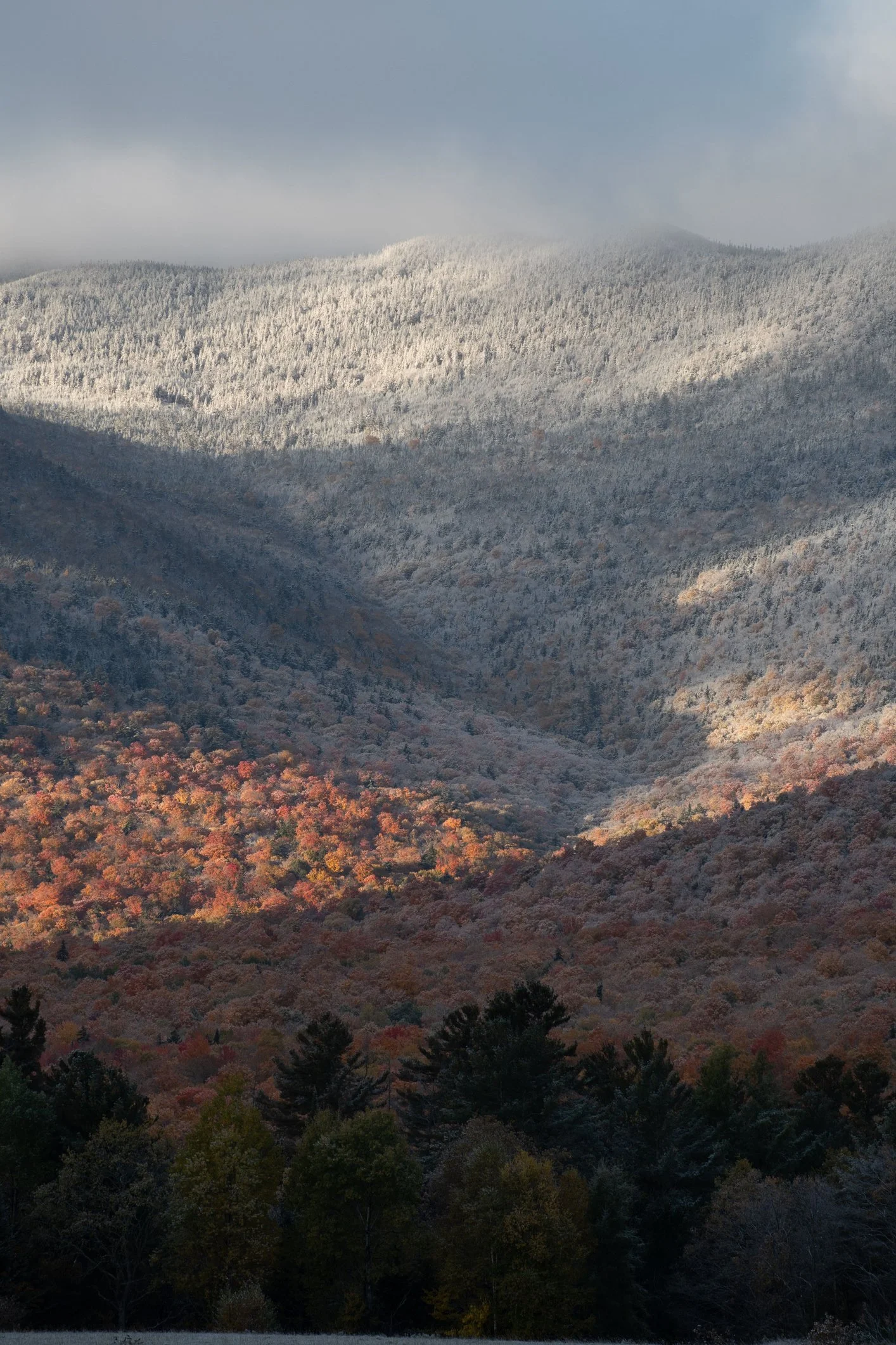 A vertical shot of autumn trees with rocky mountains in the background, Keene Valley, New York