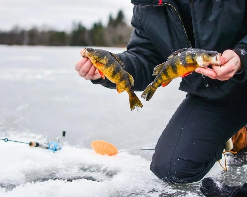 Fishing for perch at the Mike Norris Ice Fishing Derby on Raquette Lake.