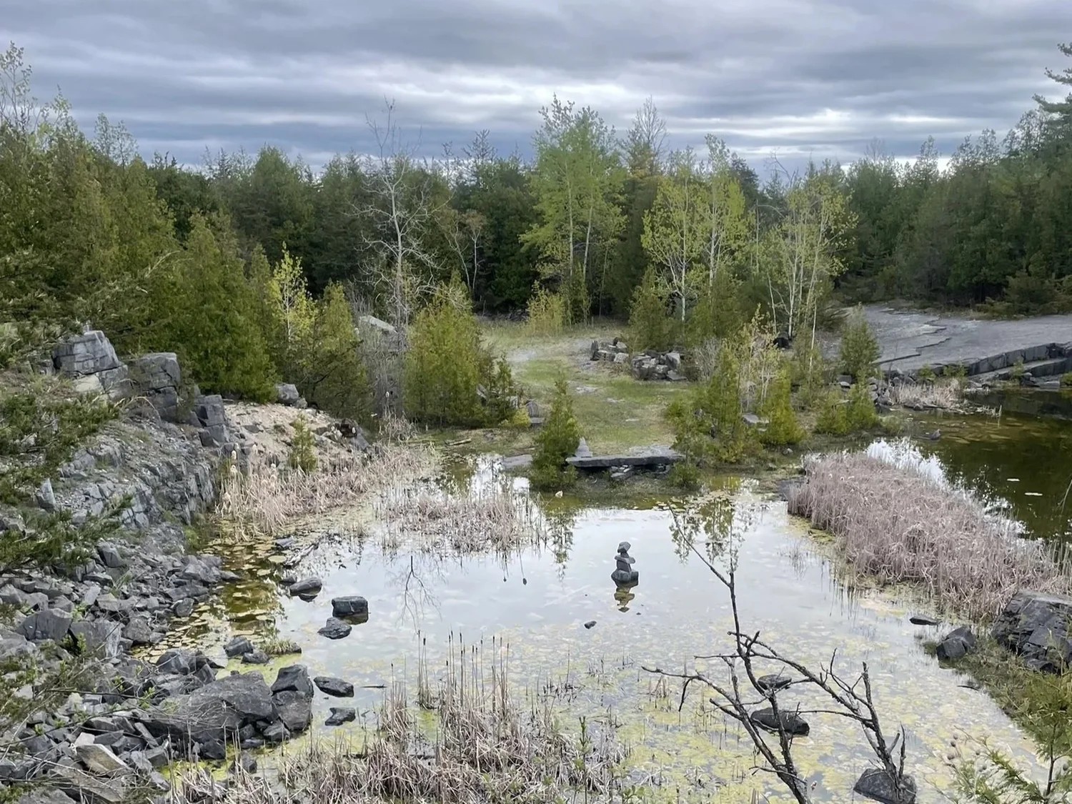 Forest Bathing at Essex Quarry | April 6, 2024 | Adirondacks