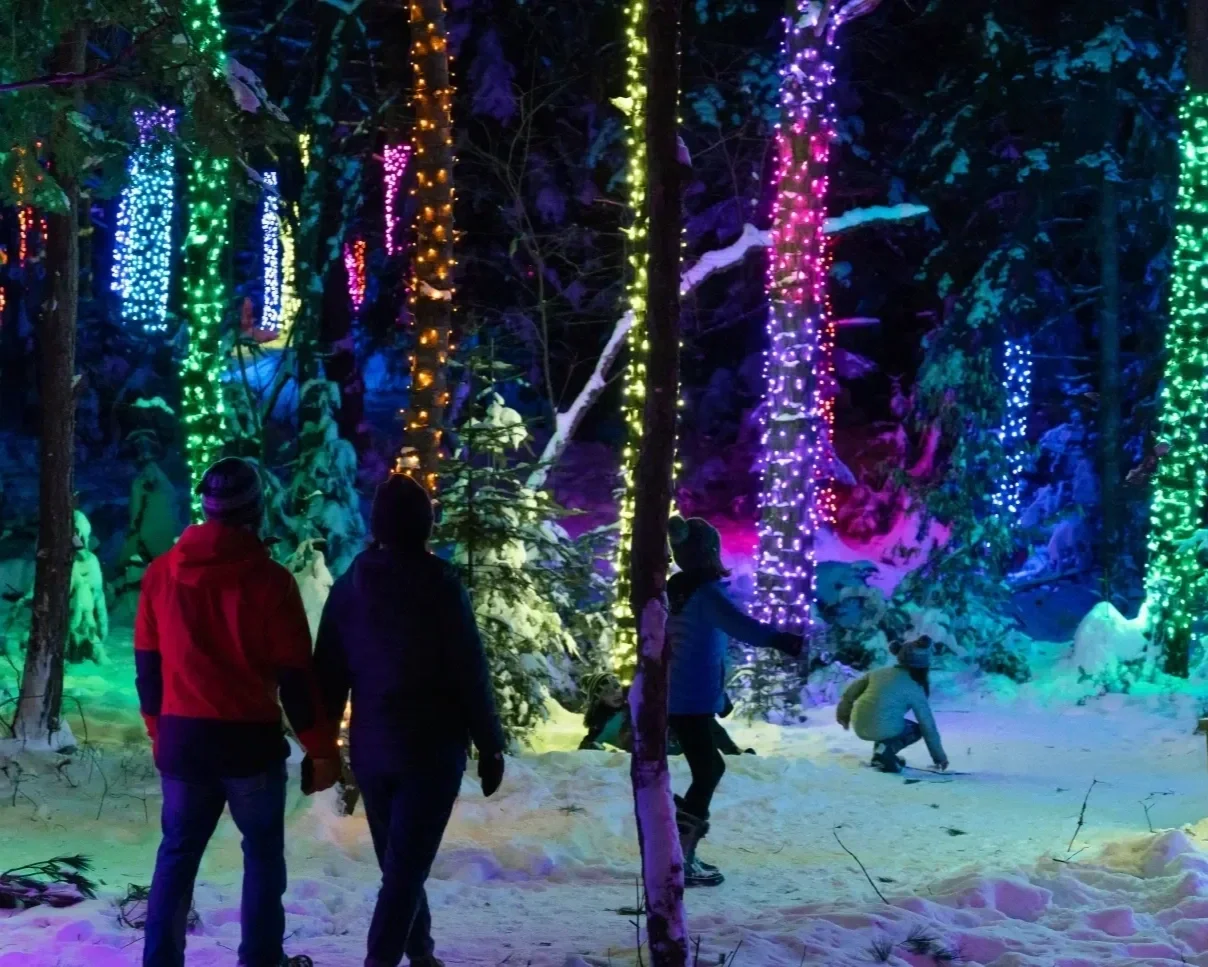 Light display at the Wild Center in Tupper Lake.