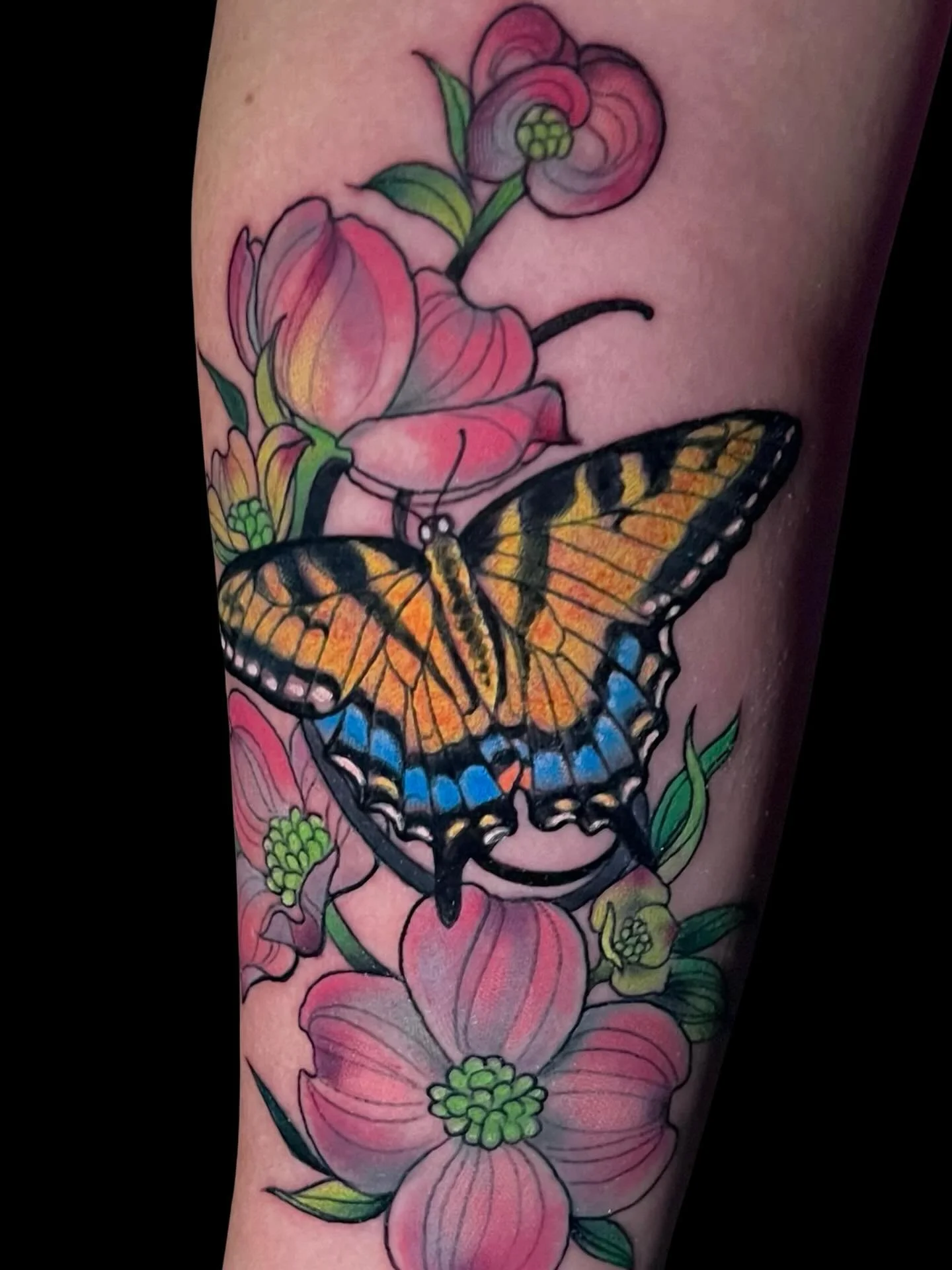 Seeing a lot of these little guys flitting about here in the spring time of Western North Carolina🦋🦋🦋
Still some spots left for springtime here in Asheville Link bio for booking inquiries
