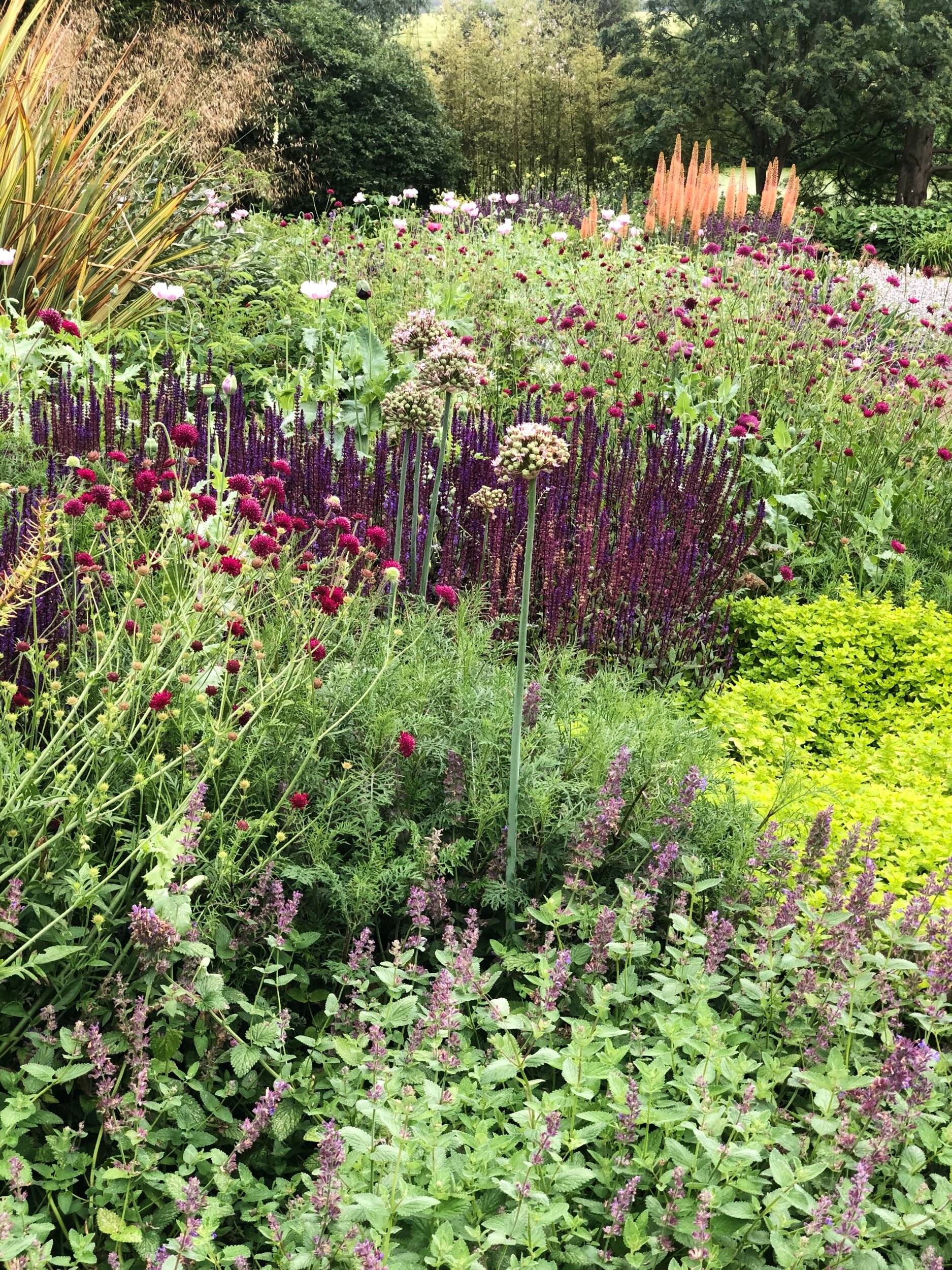 Beth Chatto planting