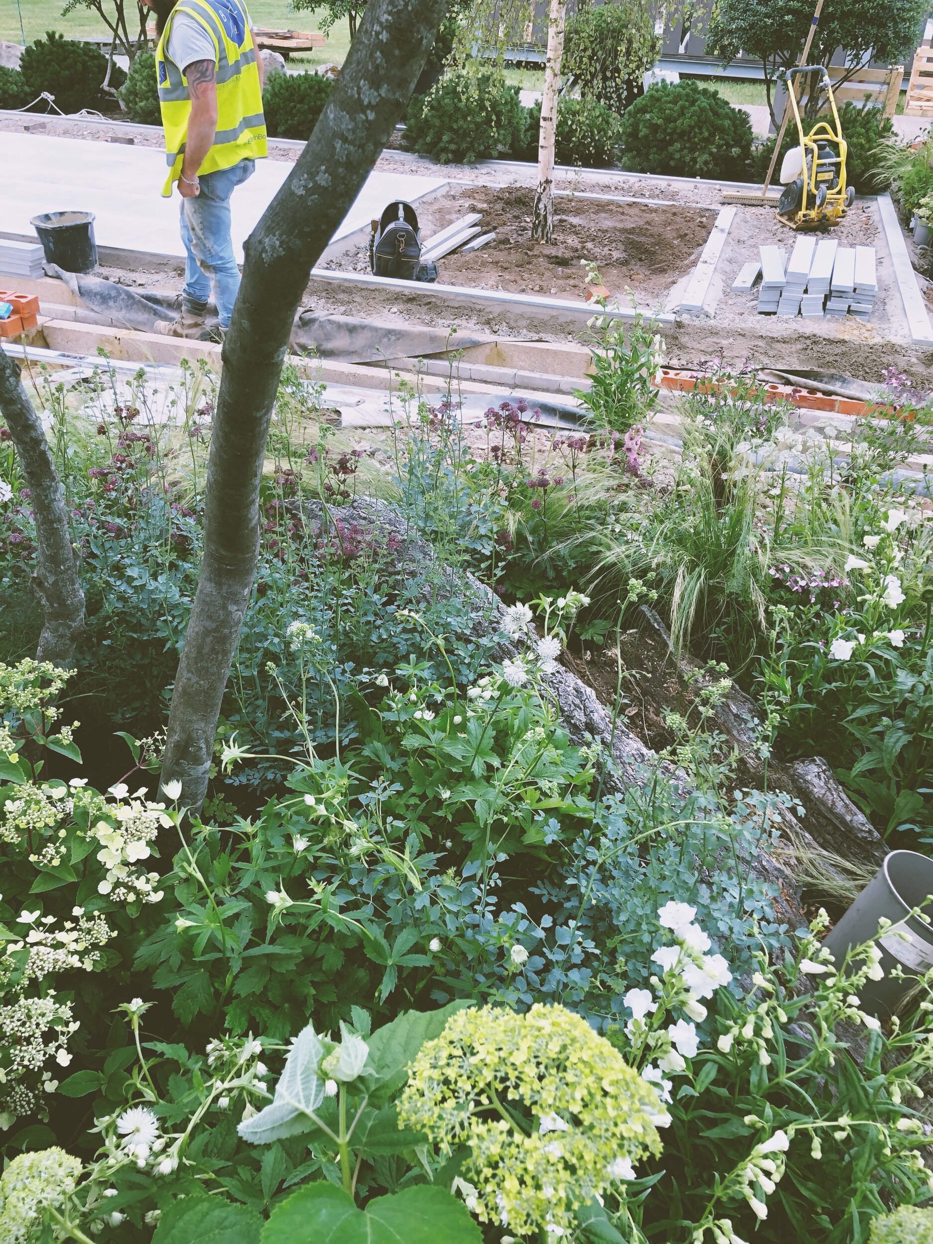 Hampton Court show garden planting