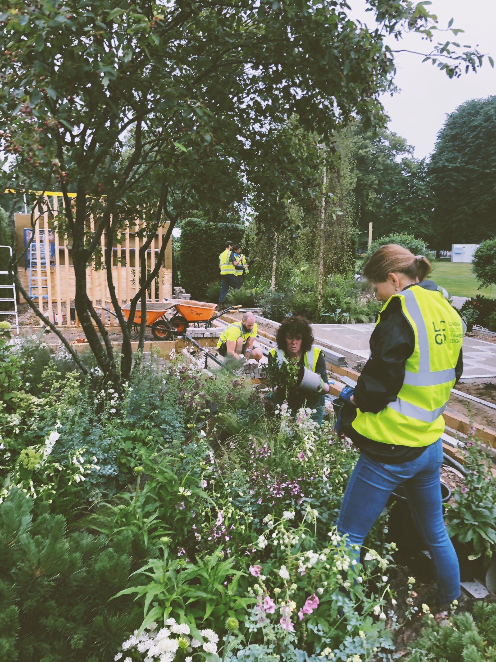 Hampton Court show garden planting