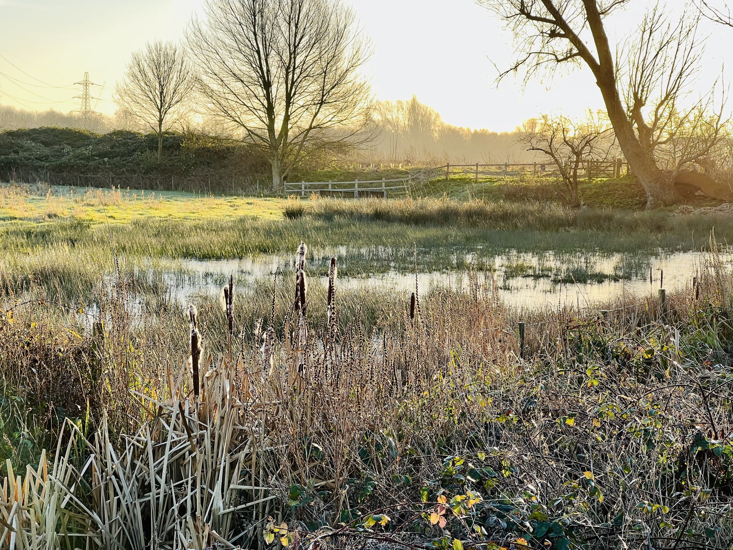 B28C9F05-A7E1-4525-A8DE-3D90779F05F0.jpeg