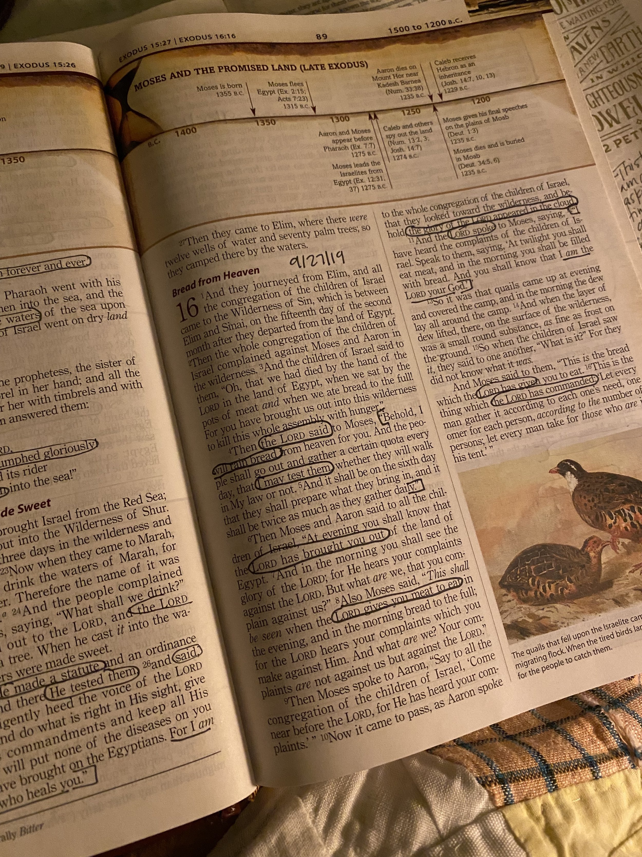 Three Bible Study Methods For Beginners Following Titus 2