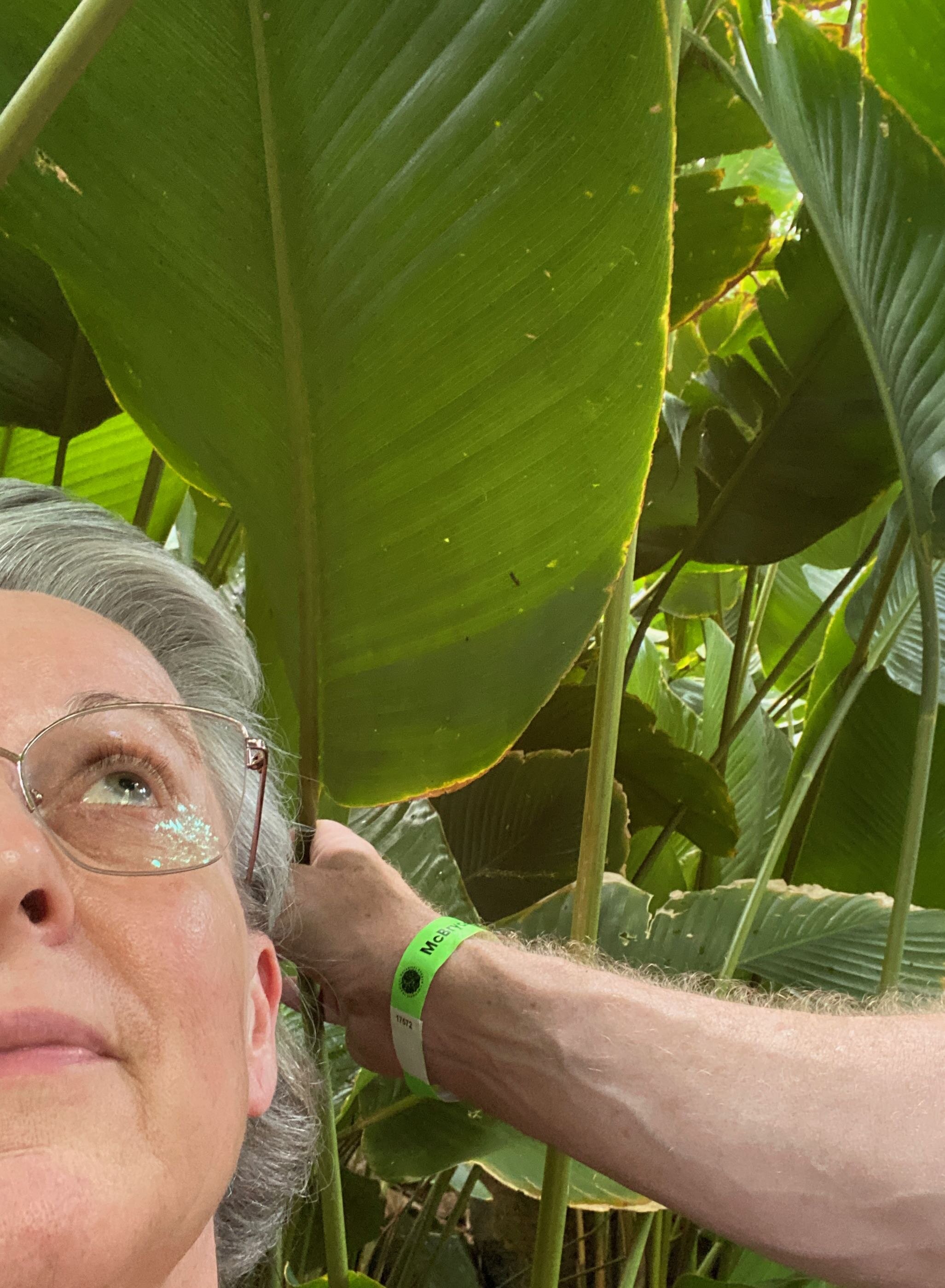 Dodging the rain at the Botanical Gardens