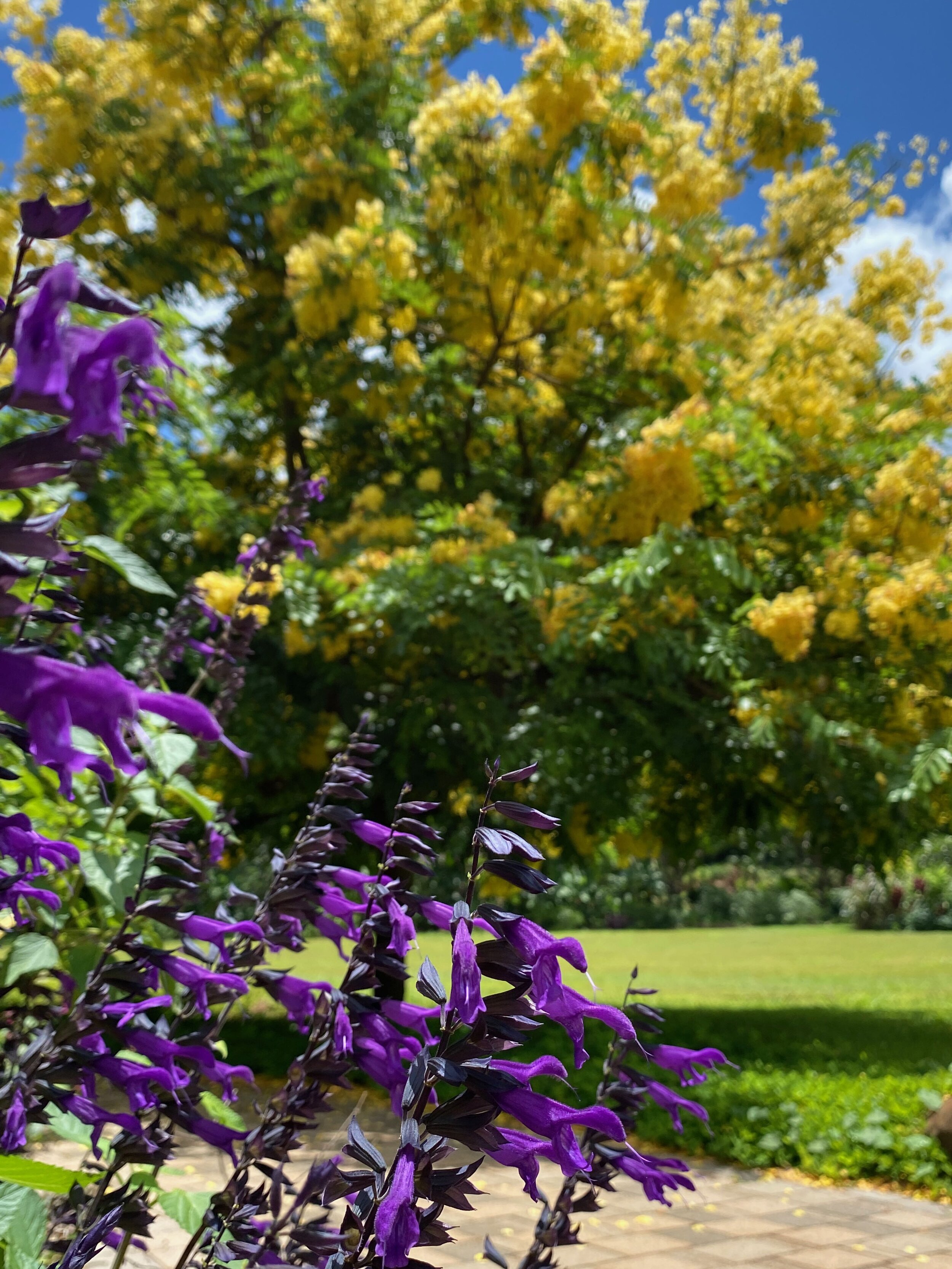 Botanical Gardens