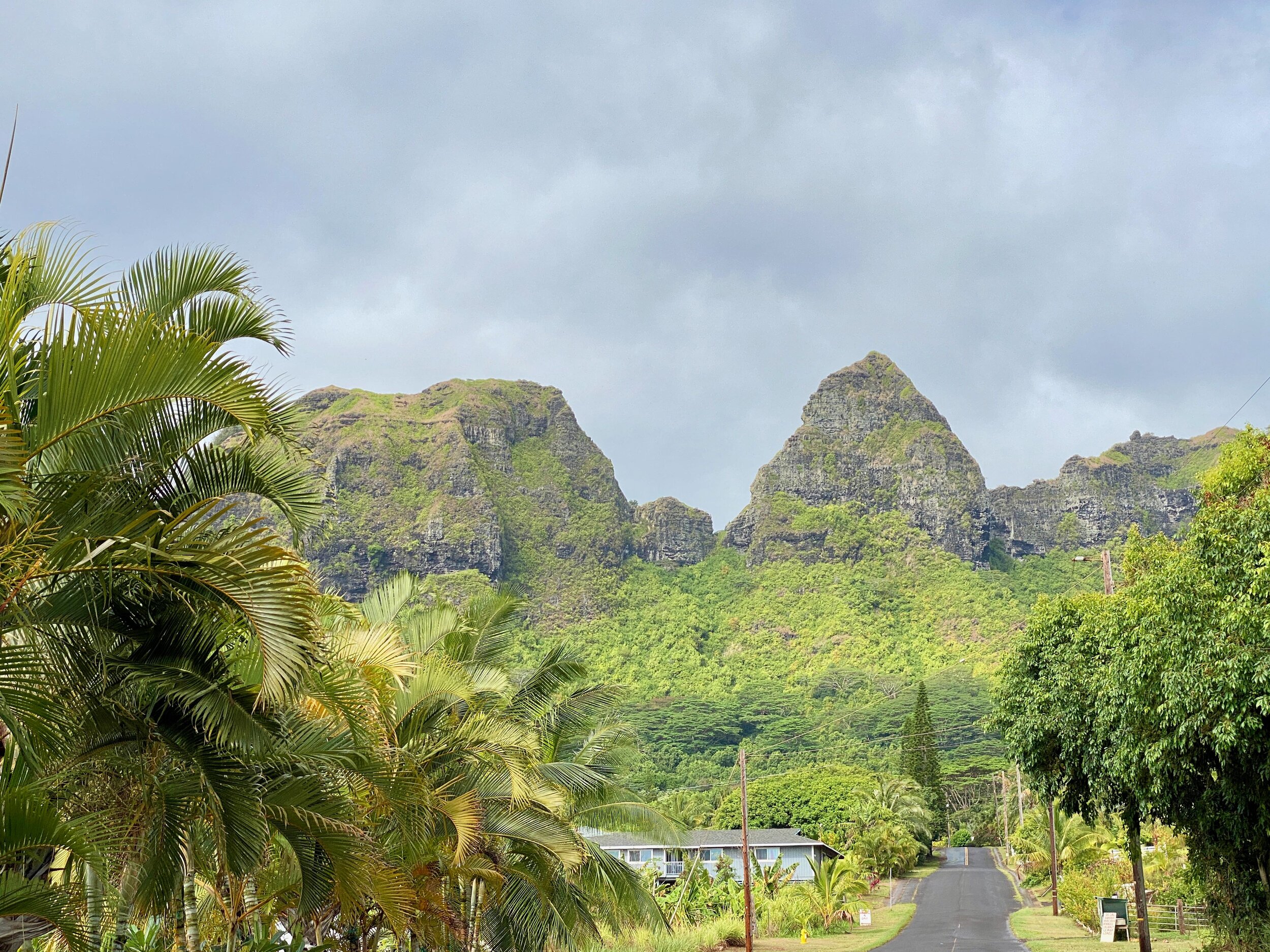 Day #2 in Kona started with a beautiful drive along the Northern area of Kauai. This is a mountain range the locals call it Kong, since it resembles the profile of King Kong.