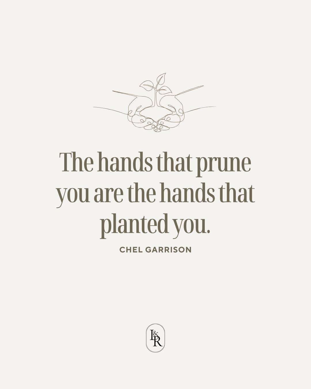 God isn&rsquo;t cutting you back to hurt you&mdash;He&rsquo;s cultivating something deeper. 🌿
He knows exactly what He planted in you, because He put it there.

So when the pruning feels painful, remember:
You're still in His garden.
You're still in
