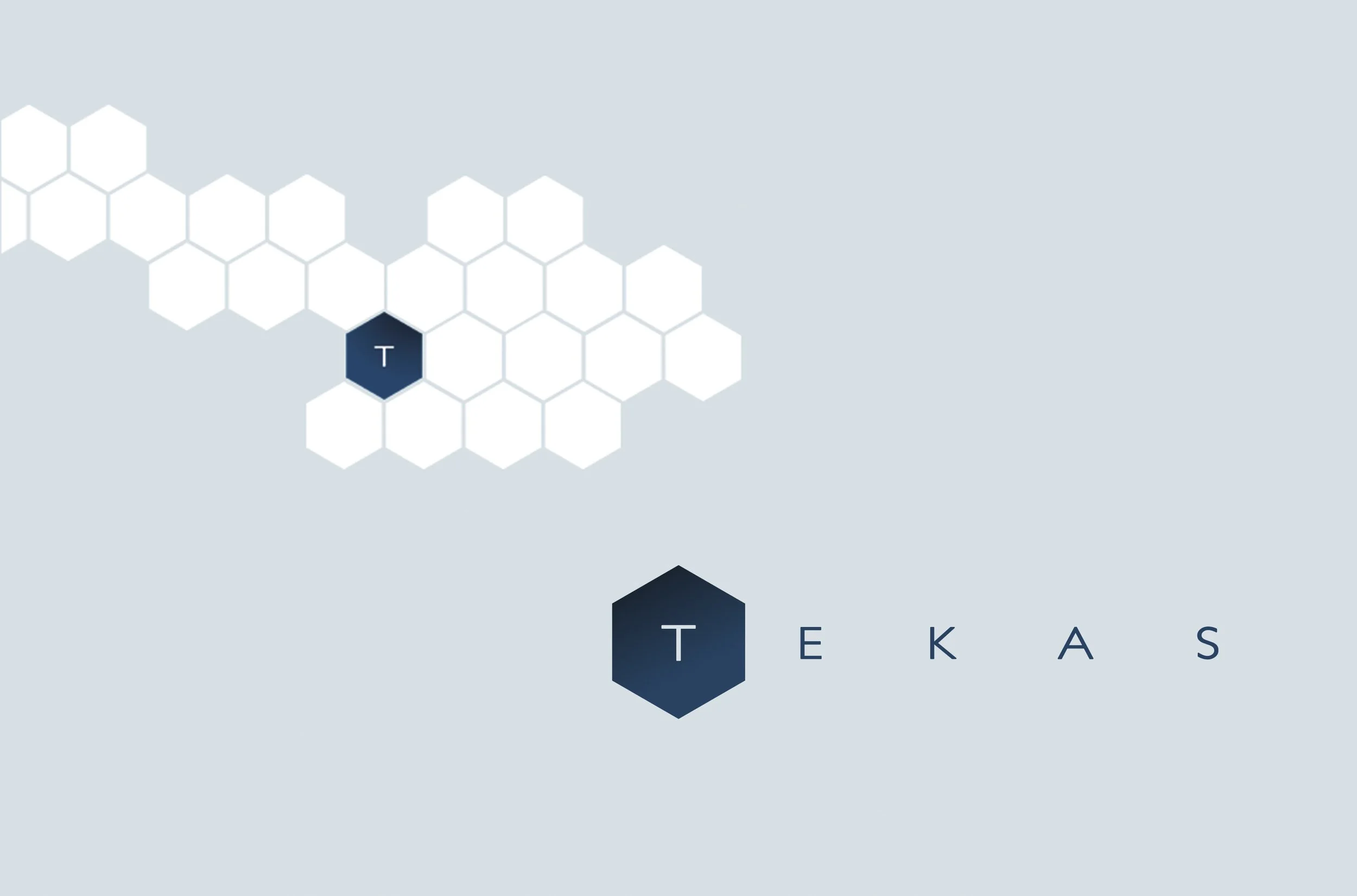 Tekas - Logo Design and Corporate Image
