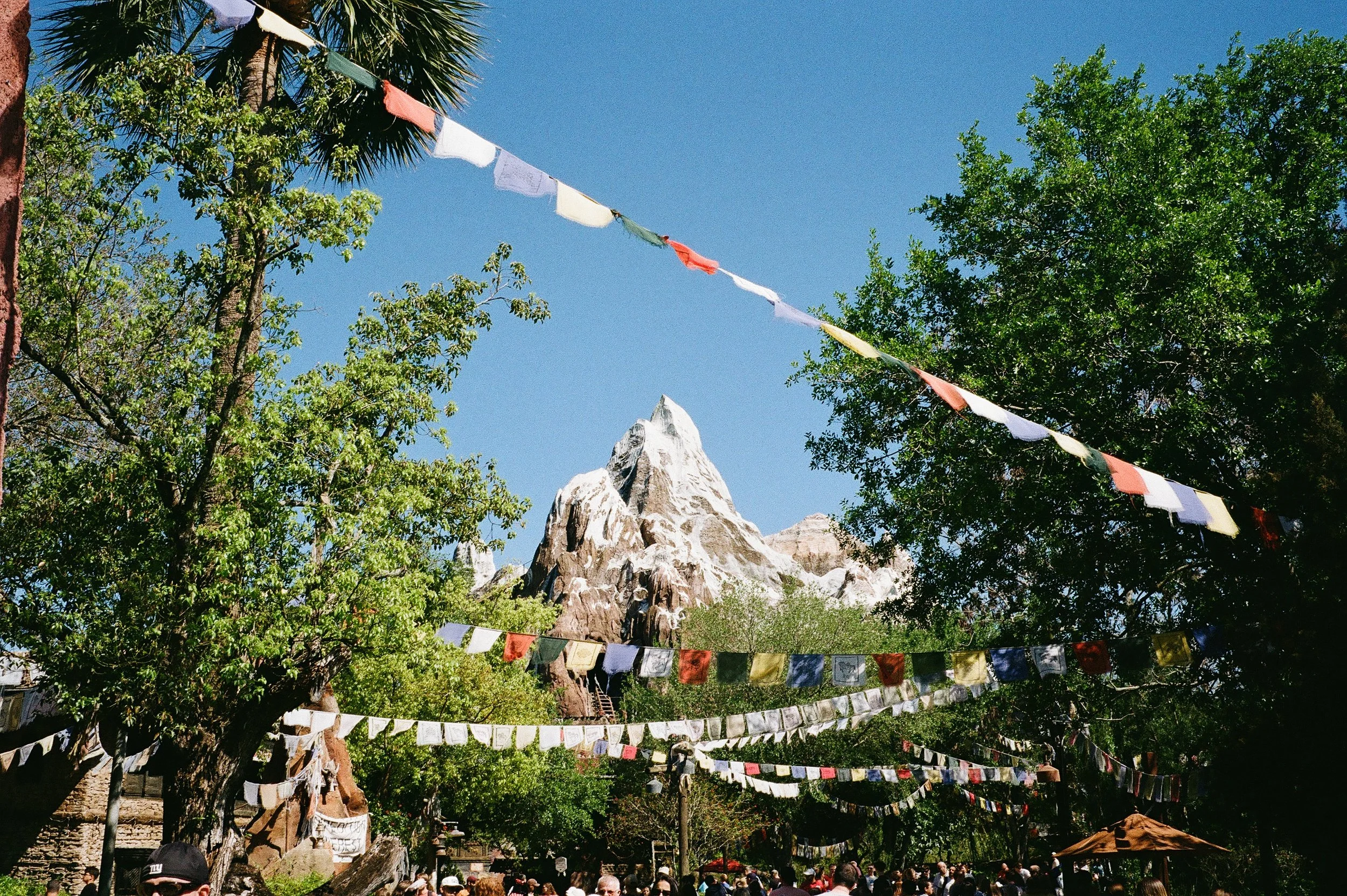 643670010006-2 (1).jpg