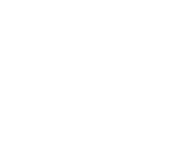 GAUCHO