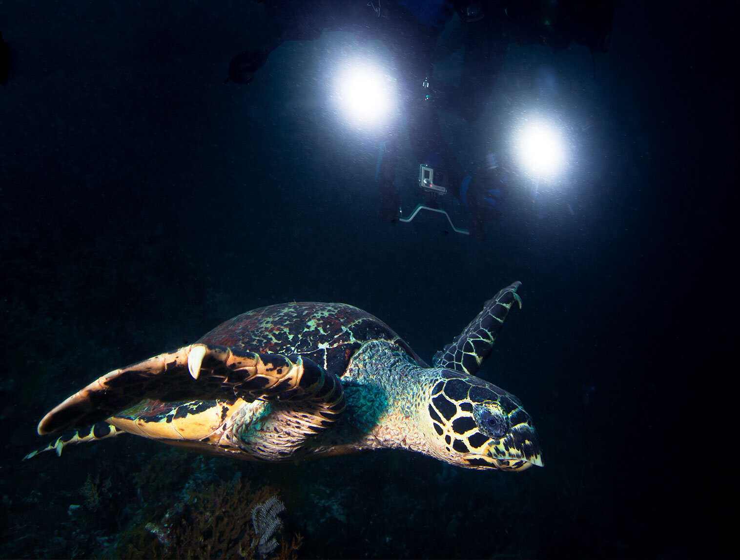 AdobeStock_390198989.jpeg