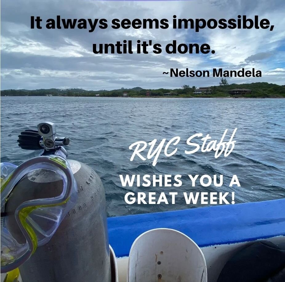 Welcome to another wonderful,  magical island week.

#mondayinspiration #rycstaff #roatan #diveandstaypackage #divethemesoamericanreef #divelocal #padi #vacation #roatanyatchclub #Roatan #visitroatan #bayislandshonduras #allinclusivediveresort