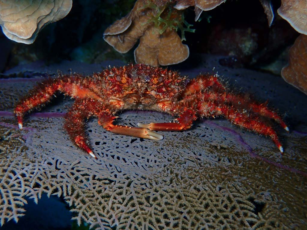 PA030132.jpg