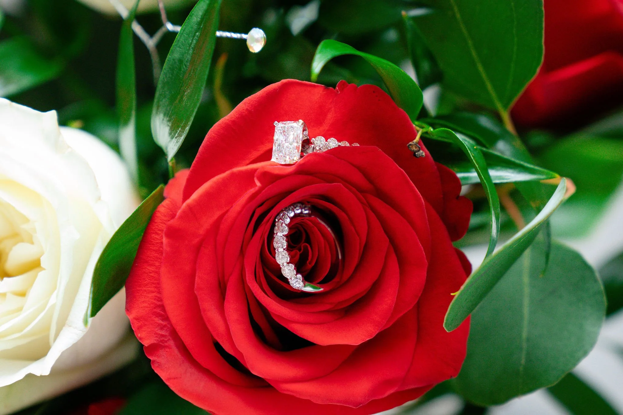 PW104422-Edit.jpg
