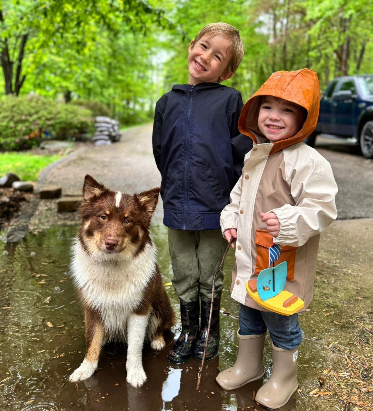 Sun, rain, smiles ❤️ 

Watching Aquila grow up with his boys has been one of the hidden gems of being a breeder. 🥹