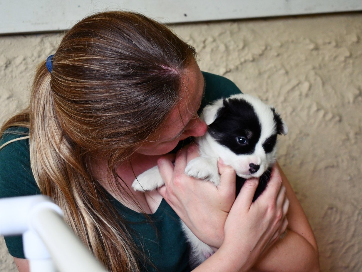 The Ethical Breeder