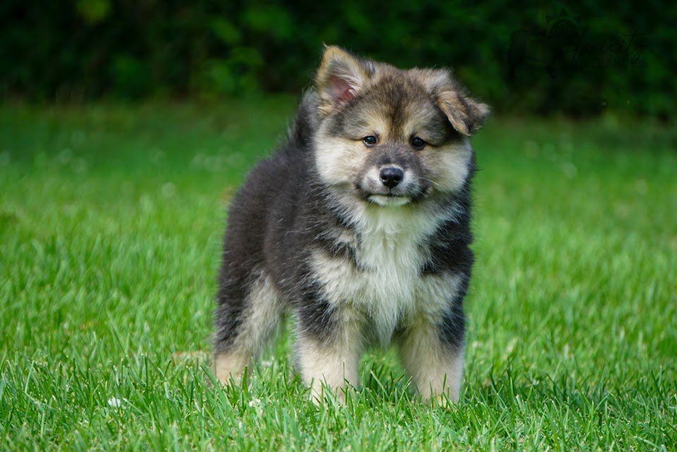 DSC01198 (1).jpg
